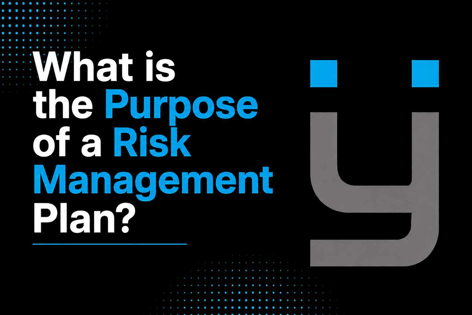 What is the Purpose of a Risk Management Plan?